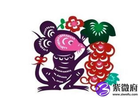 2021年属鼠总体运势