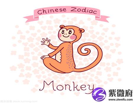 属猴适合开什么颜色的车