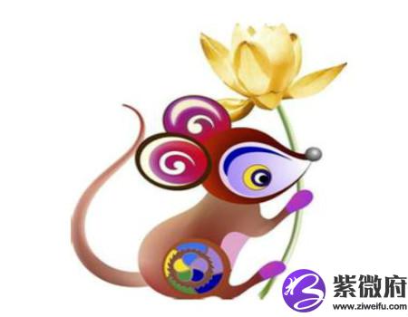 属鼠适合开什么颜色的车