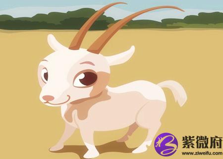 属羊人农历几月出生好