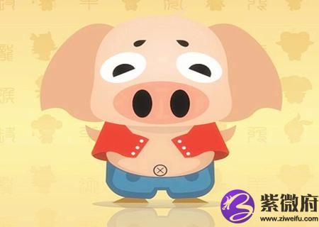 属猪人农历几月出生好