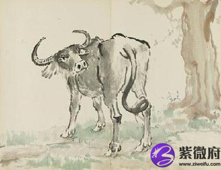 属牛起名宜用字大全