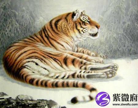 属虎起名宜用字大全