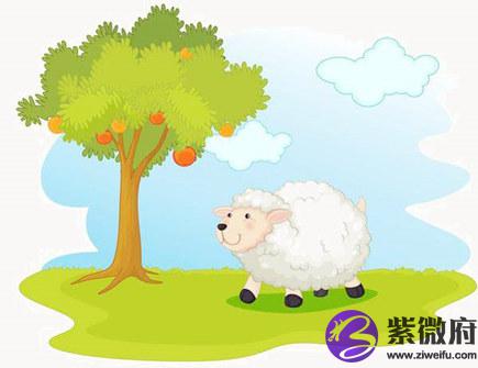 属羊住几层楼最好