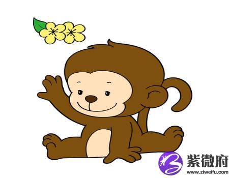 属猴住几层楼最好