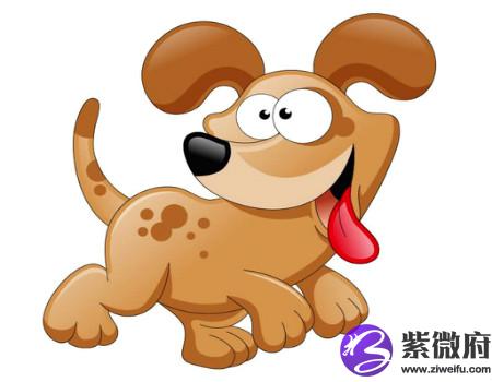 属狗住几层楼最好