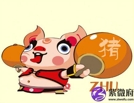属猪住几层楼最好