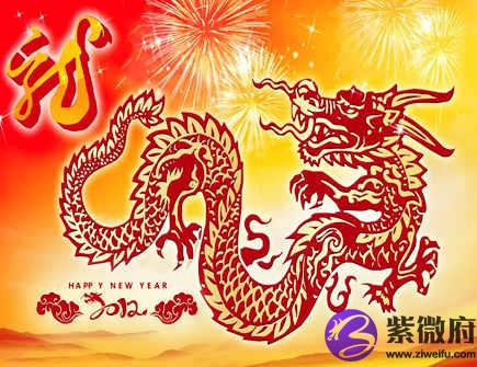 属龙住几层楼最好