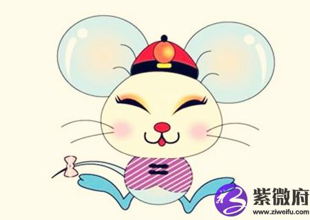 属鼠农历几日出生富贵命