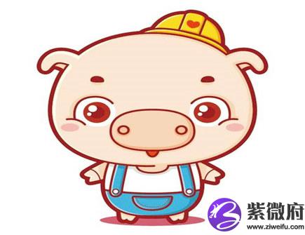 属猪犯太岁佩戴什么好