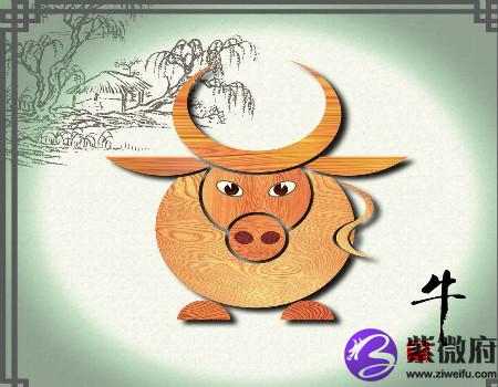 属牛住几层楼最好