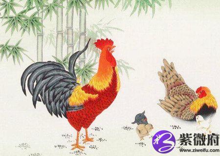 生肖鸡最忌讳的颜色有哪些