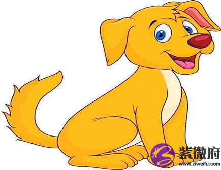 属狗犯太岁佩戴什么好