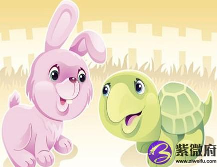 属兔犯太岁佩戴什么好