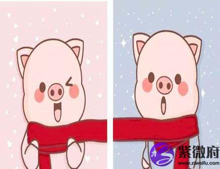 属猪男喜欢什么女人