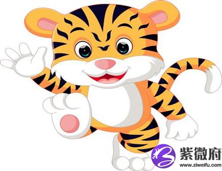 属虎男喜欢什么女人