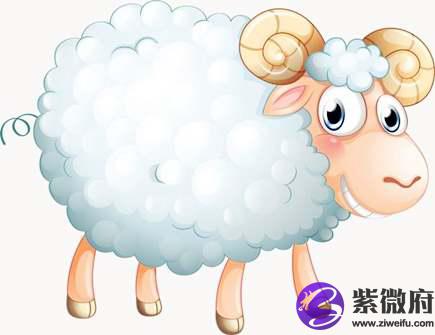 属羊男喜欢什么女人