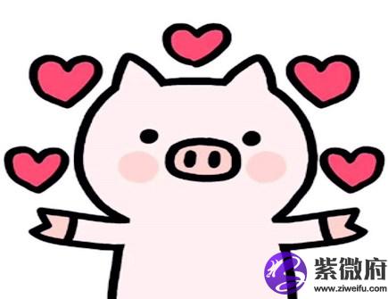 属猪女喜欢什么男人
