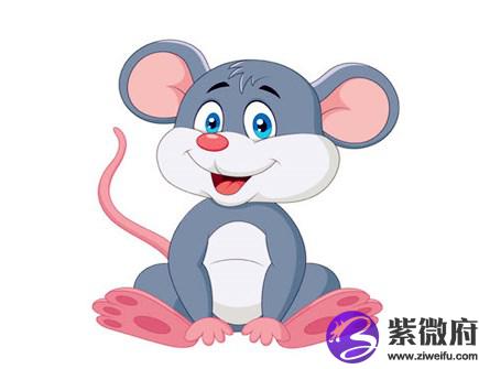 属鼠女喜欢什么男人