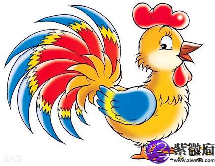 最适合属鸡女的老公