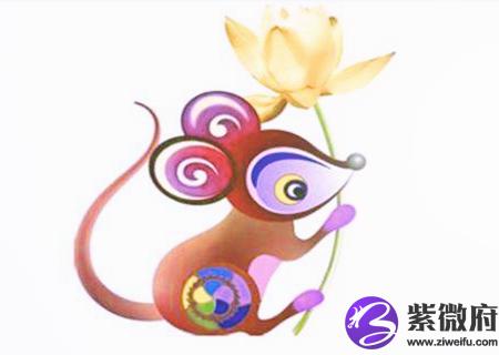 生肖鼠最忌讳的颜色有哪些