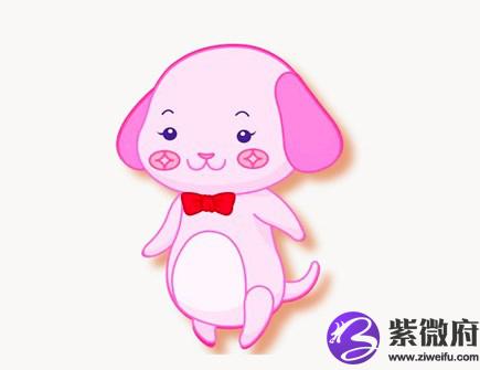 最适合属狗女的老公