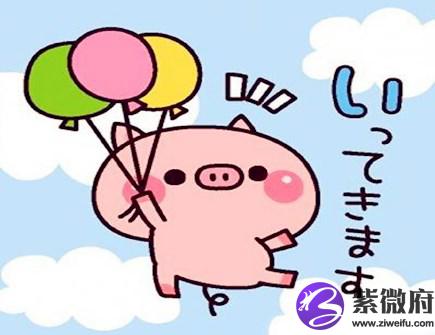 最适合属猪女的老公