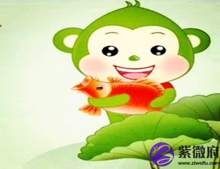 最适合属猴男的老婆