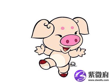 最适合属猪男的老婆