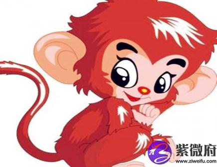 属猴人和什么生肖合作好