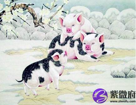属猪人和什么生肖合作好