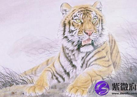 属虎和什么生肖合财