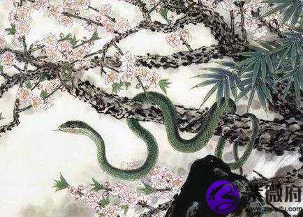属蛇和什么生肖合财