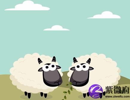 属羊女人佩戴什么好