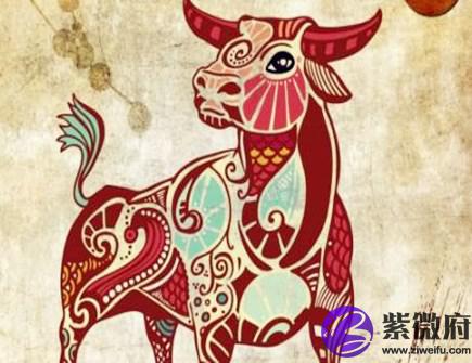 属牛人和什么生肖合作好