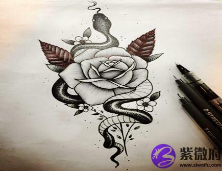 属蛇女人佩戴什么好