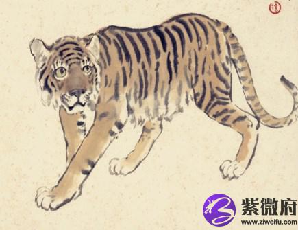 属虎男人佩戴什么好