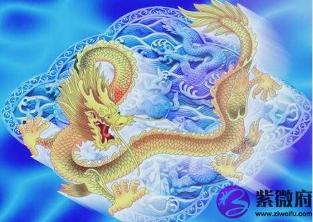 属龙人2020年桃花运如何