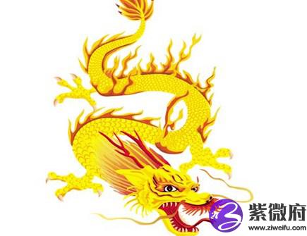 属龙男人佩戴什么好