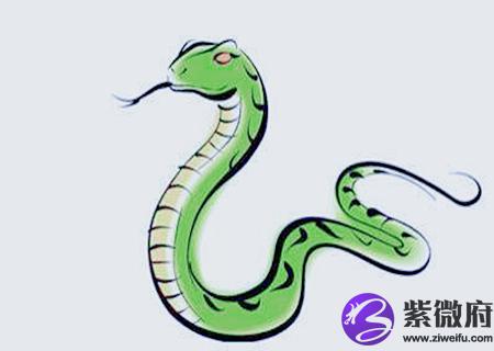 属蛇人2020年桃花运如何