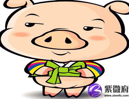 生肖猪的取名宜忌