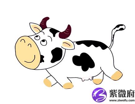 属牛男人佩戴什么好