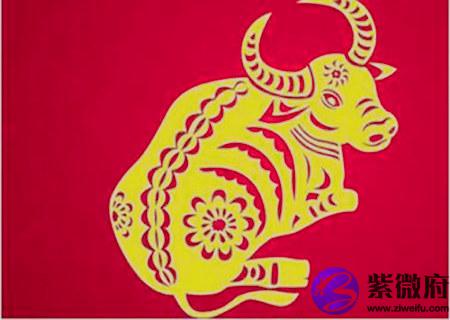 属牛人2020年桃花运如何