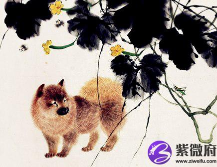 最旺狗的生肖是什么