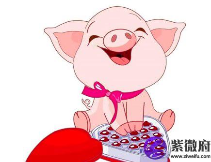 最旺猪的生肖是什么