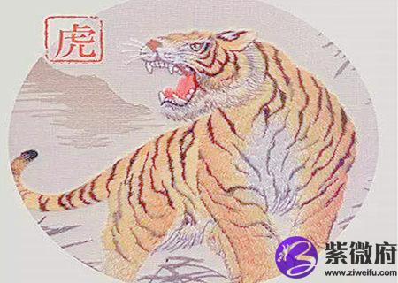 属虎人起名字的宜忌