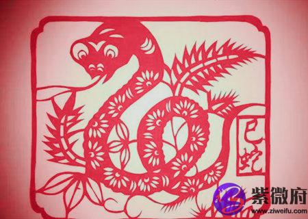 属蛇人起名字的宜忌