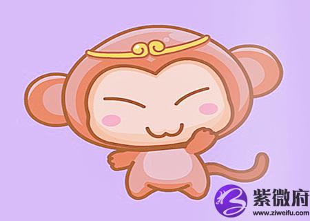 生肖猴适合养什么宠物