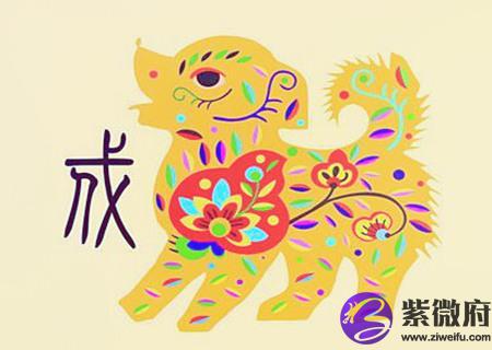 生肖狗适合养什么宠物
