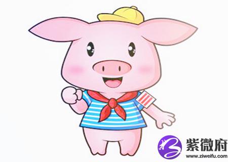 生肖猪适合养什么宠物